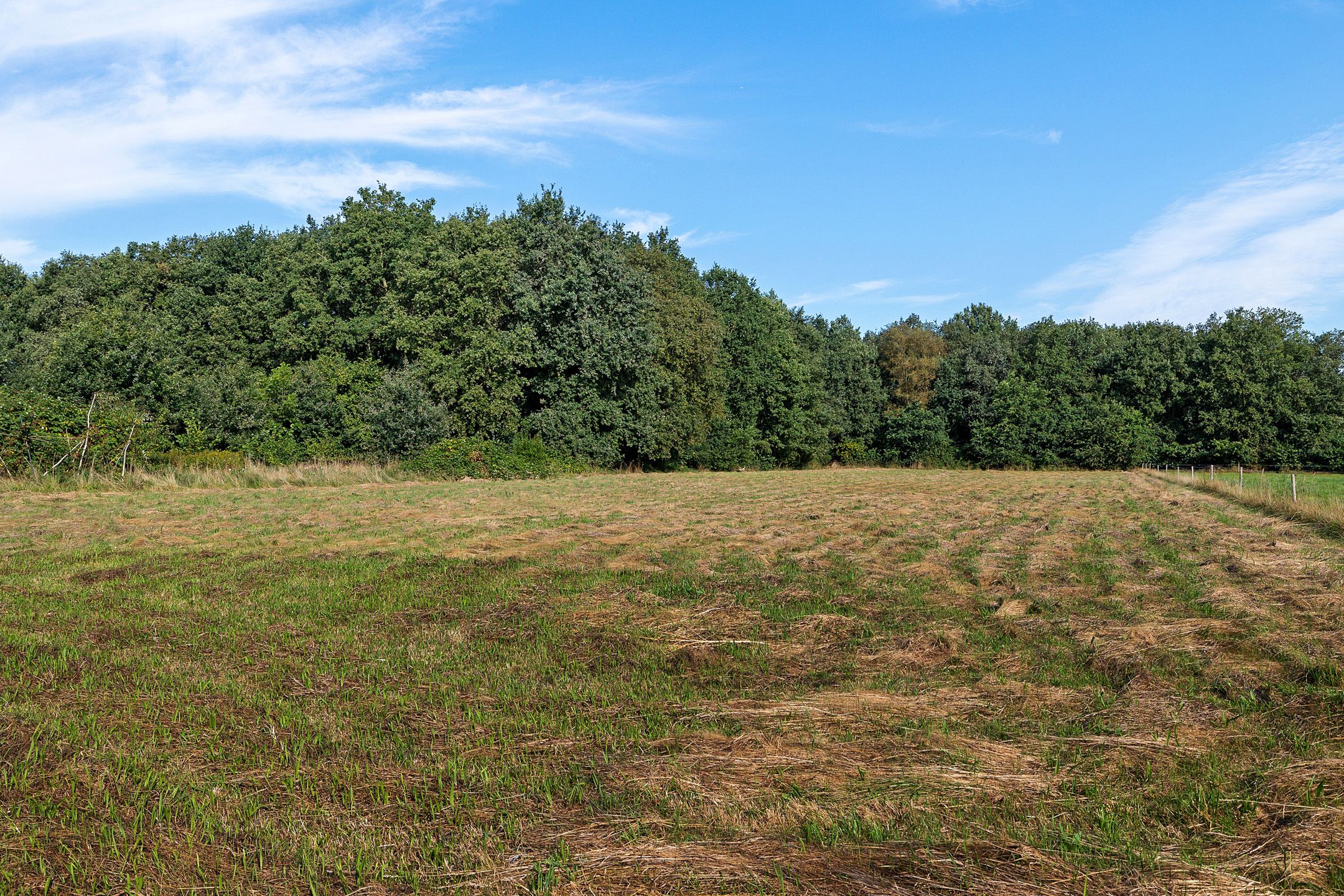 Foto 30 van Verlengde Wilhelmsweg 145