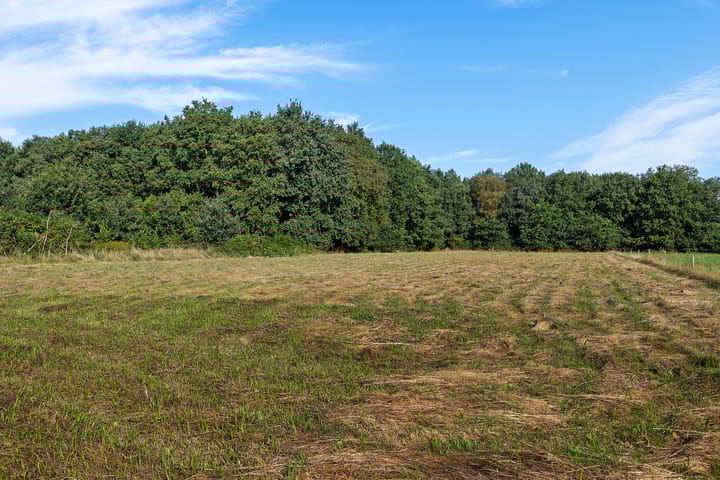 Photo 30 of Verlengde Wilhelmsweg 145