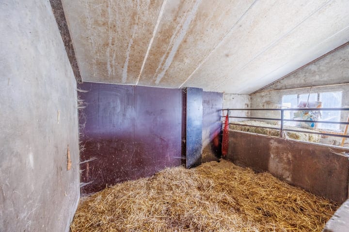 Photo 56 of Spijkerstraat 4