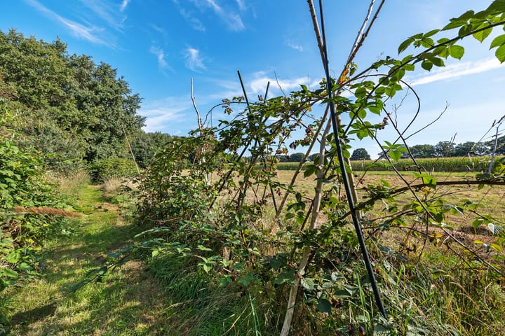 Photo 31 of Verlengde Wilhelmsweg 145