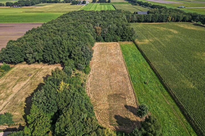 Photo 36 of Verlengde Wilhelmsweg 145