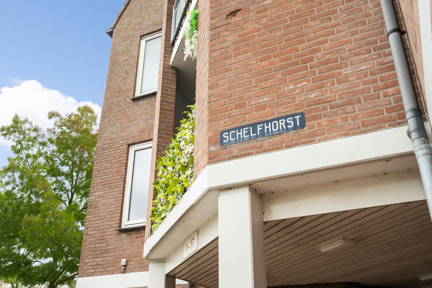 Photo 4 of Schelfhorst 13