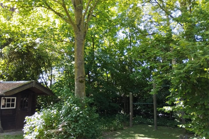 Foto 14 van Houtweg 2