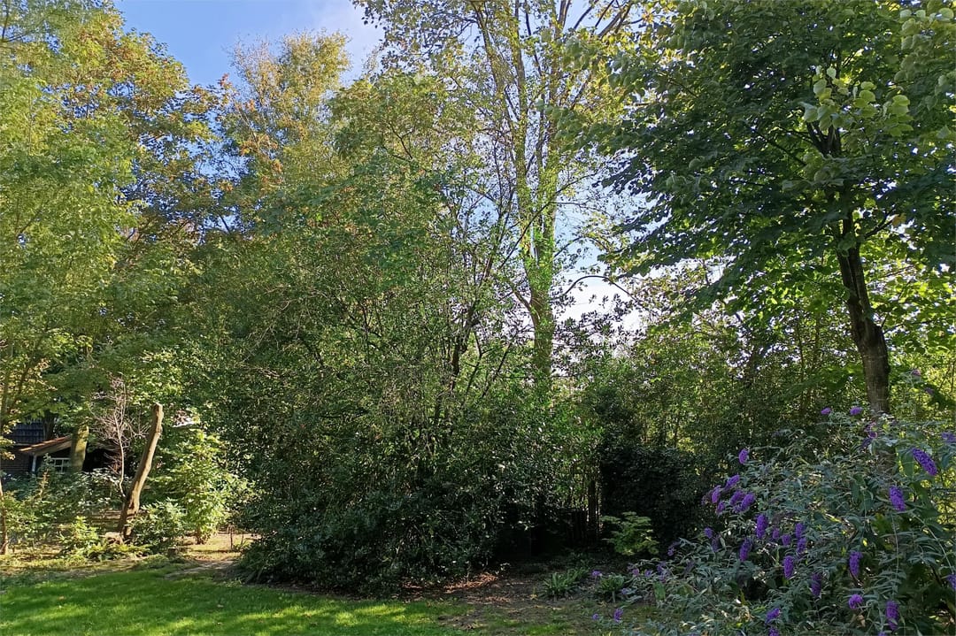 Foto 16 van Houtweg 2