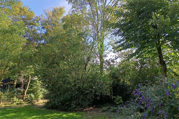 Foto 16 van Houtweg 2