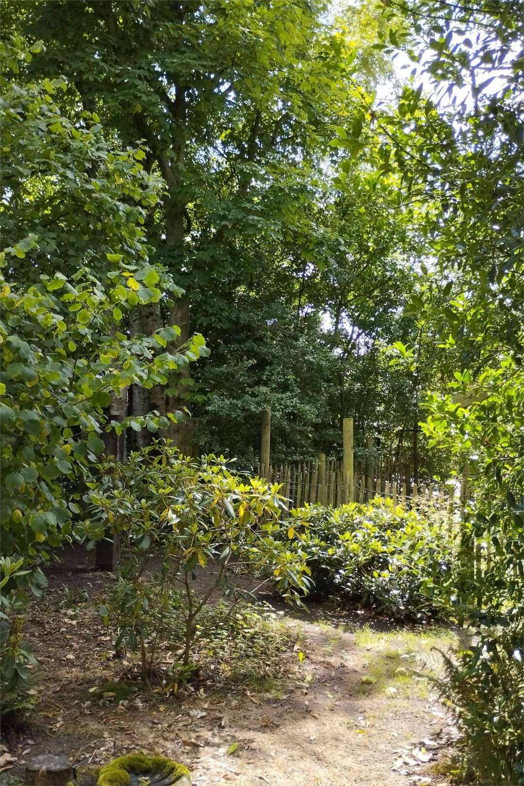 Foto 17 van Houtweg 2