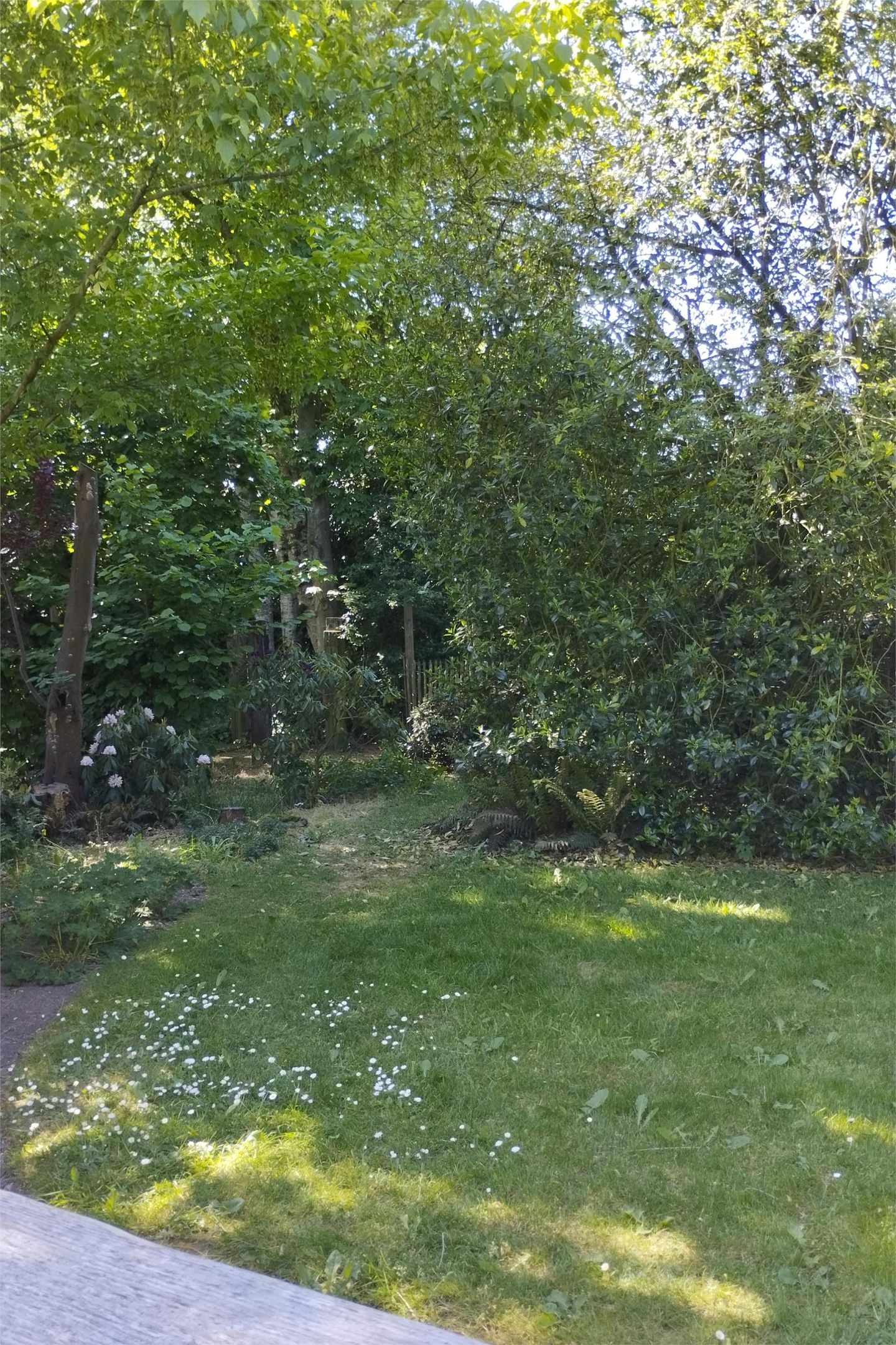 Foto 59 van Houtweg 2