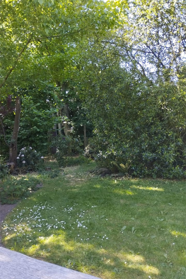 Foto 59 van Houtweg 2