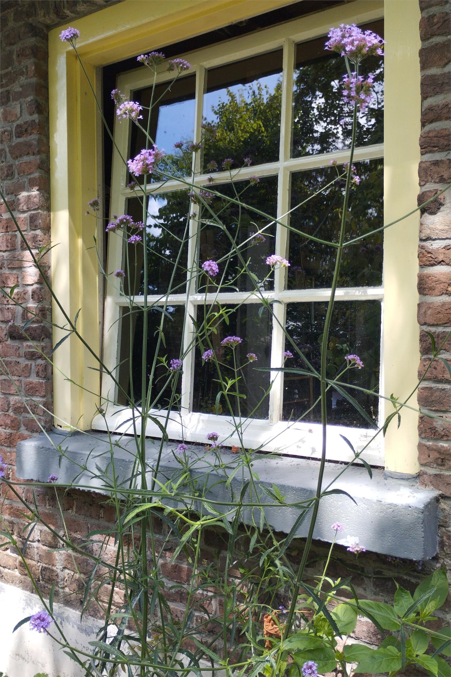 Foto 65 van Houtweg 2