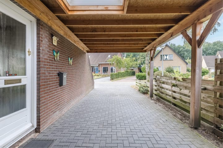 Foto 7 van Polakkers 7