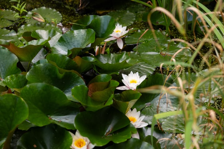 Foto 69 van Holterweg 130