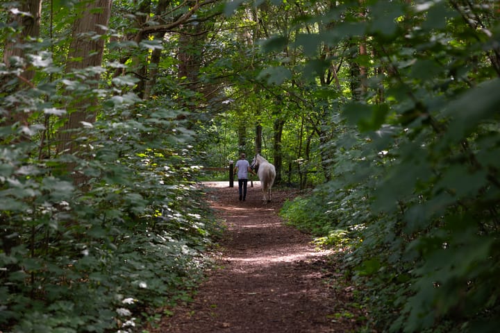 Foto 83 van Holterweg 130