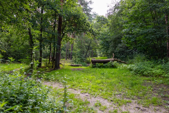 Foto 84 van Holterweg 130