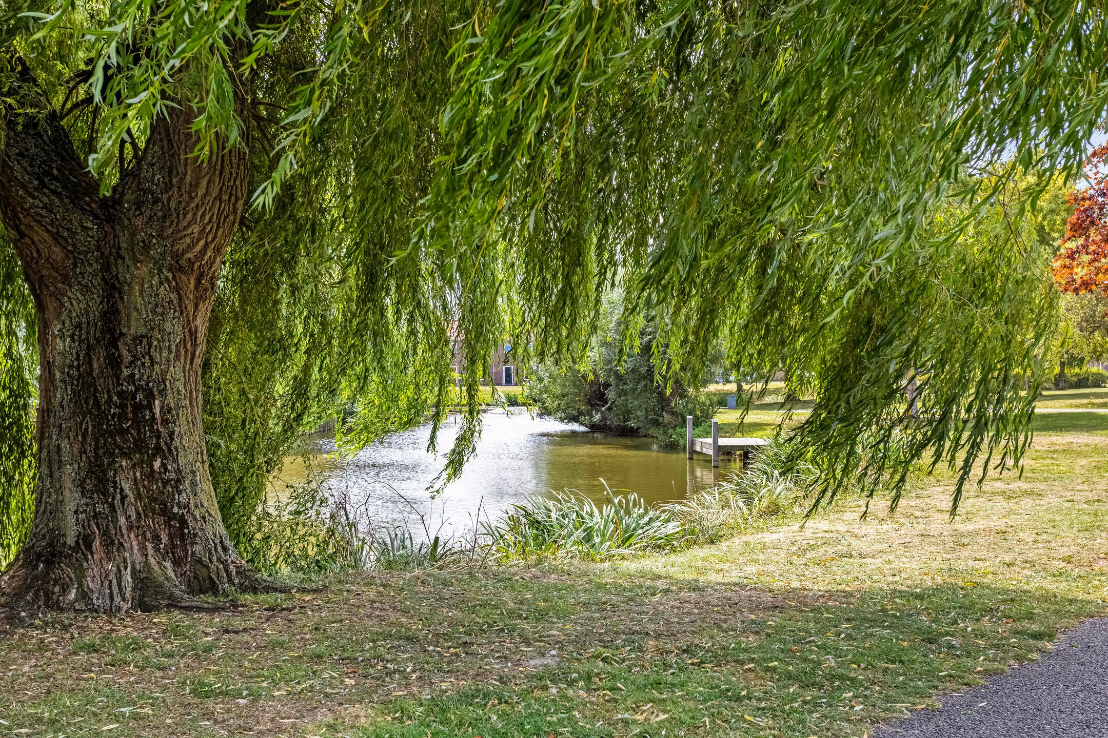 Foto 48 van Kroonwijksingel 7-D