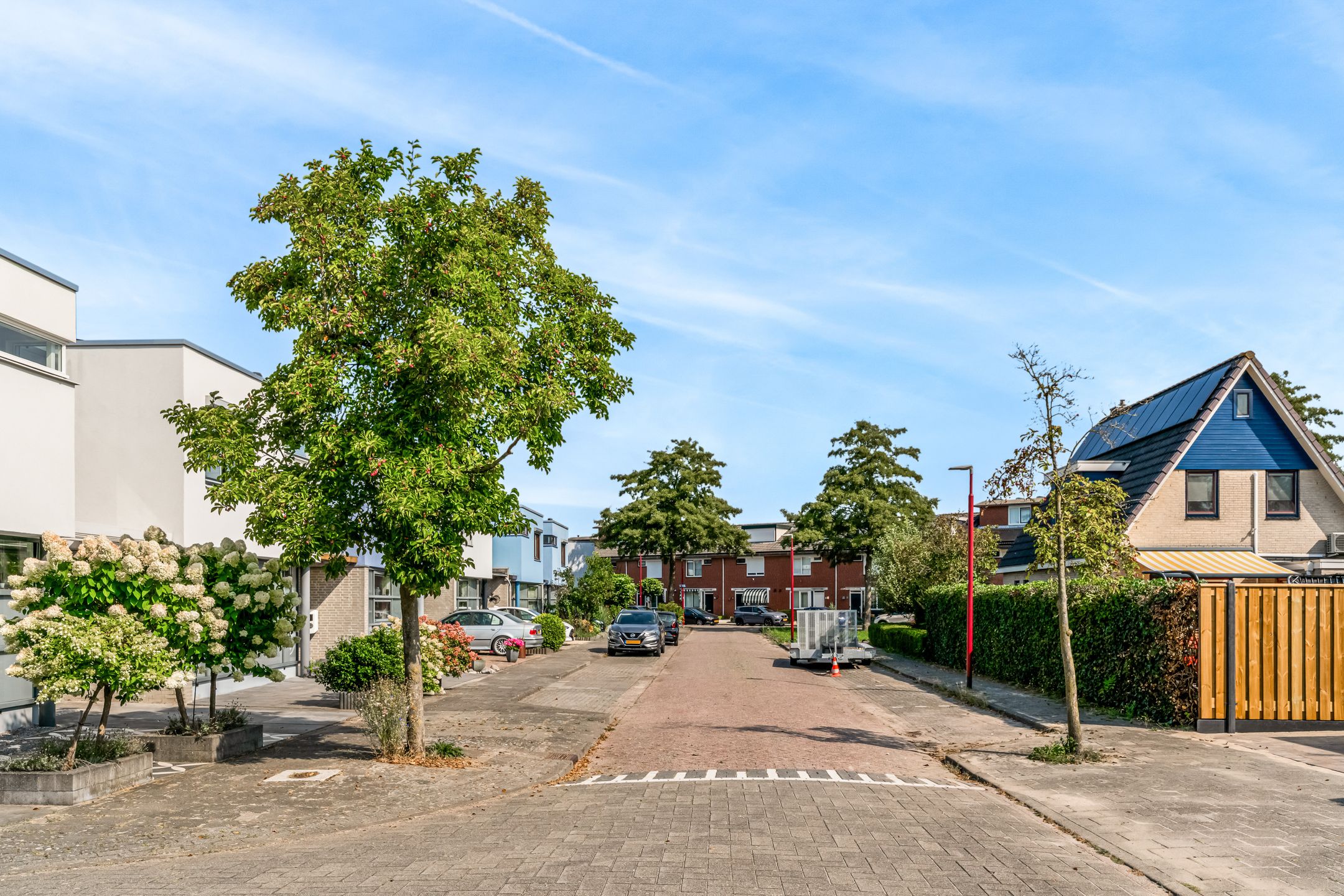 Foto 42 van Johan de Meesterhove 10