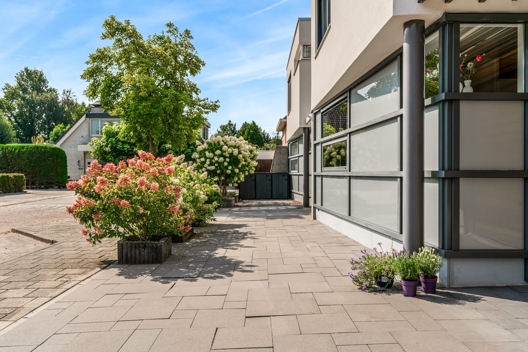 Foto 46 van Johan de Meesterhove 10