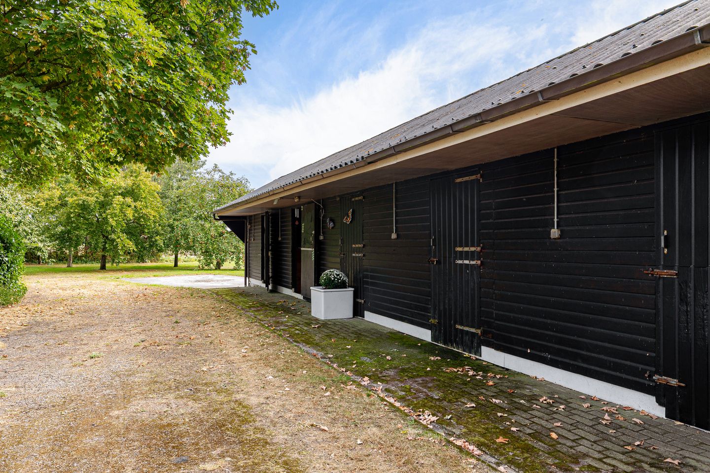 Foto 4 van Haantje 2