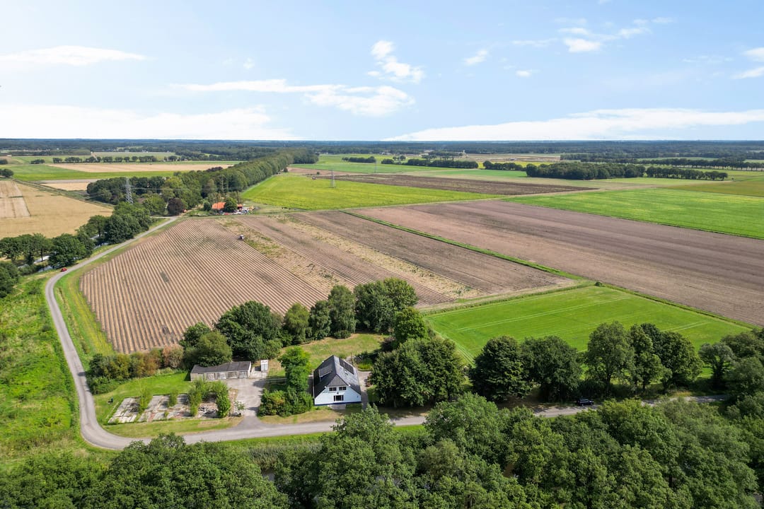 Foto 8 van Haantje 2