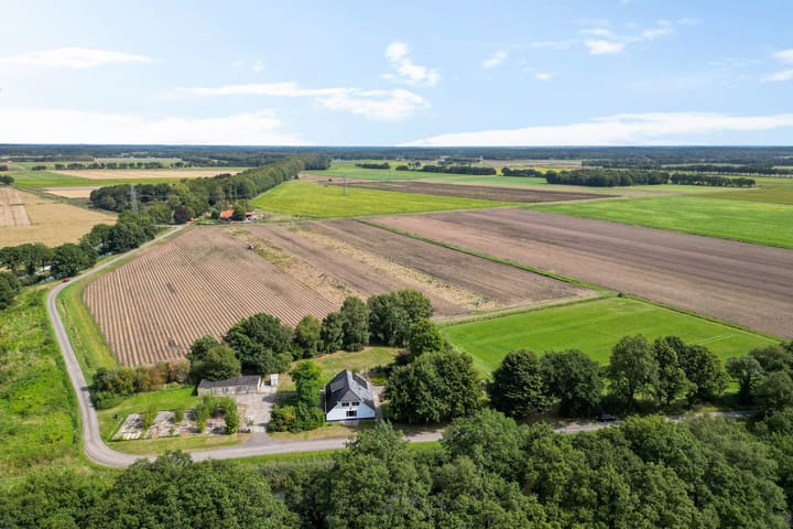 Foto 8 van Haantje 2