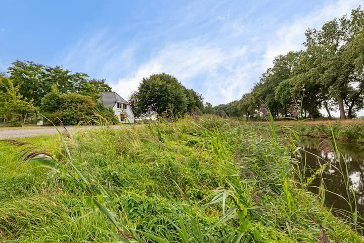 Foto 9 van Haantje 2