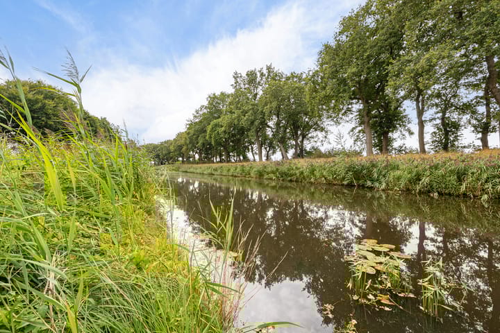 Foto 10 van Haantje 2