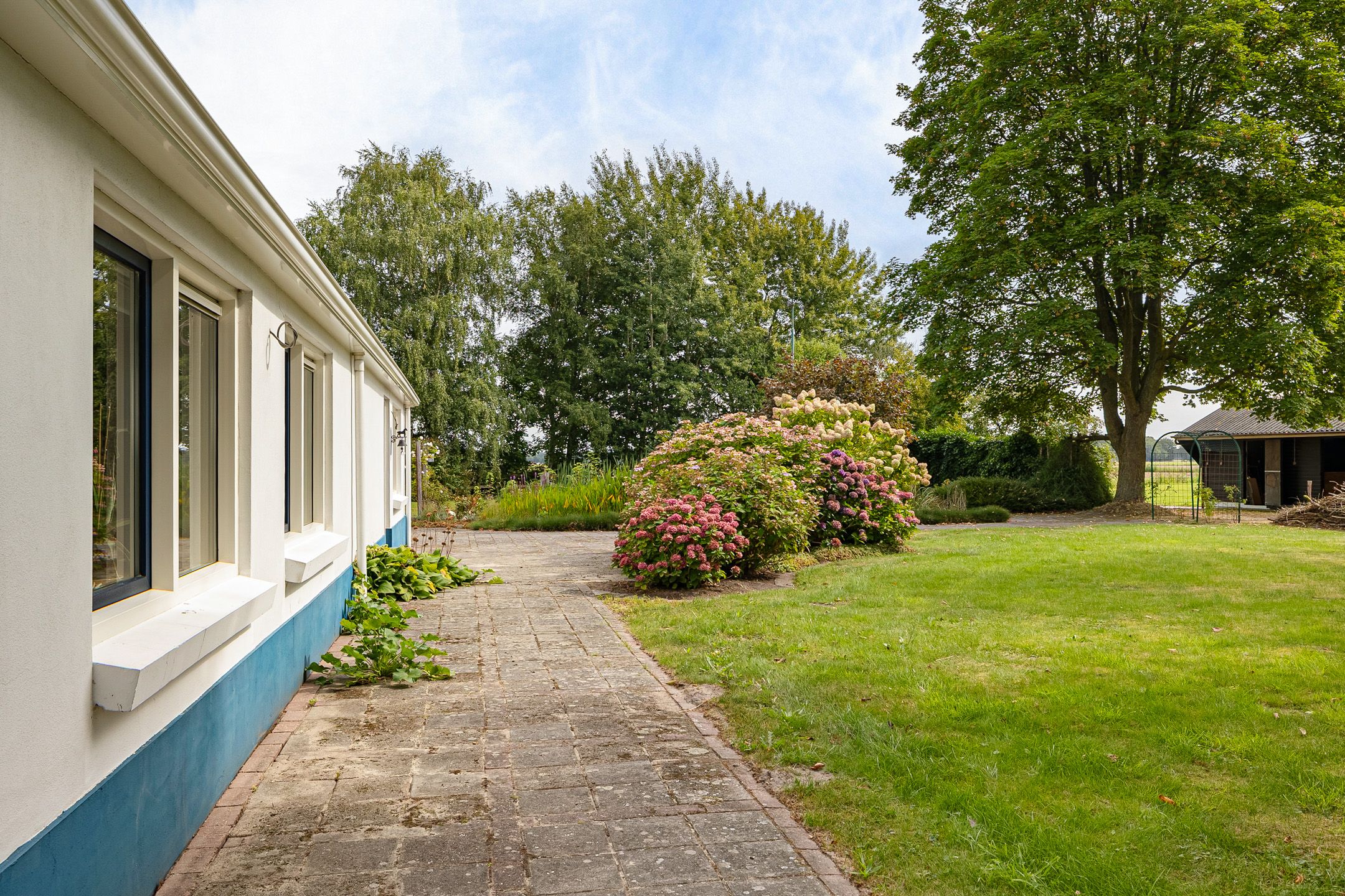 Foto 12 van Haantje 2