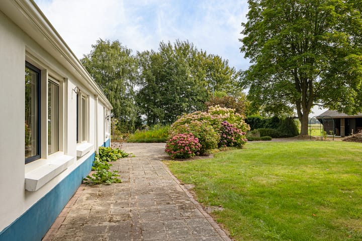 Foto 12 van Haantje 2