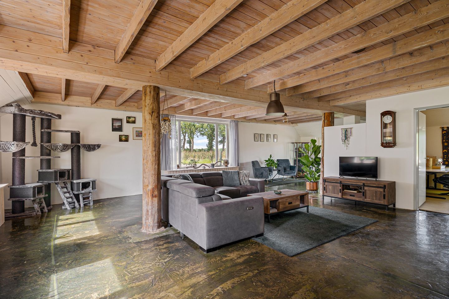 Foto 19 van Haantje 2