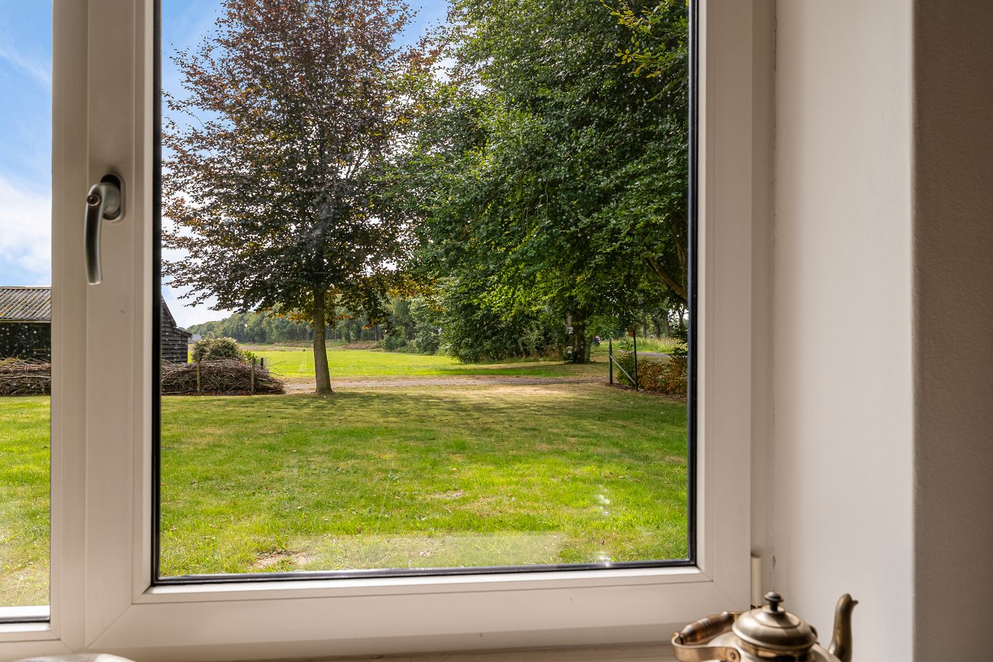 Foto 20 van Haantje 2