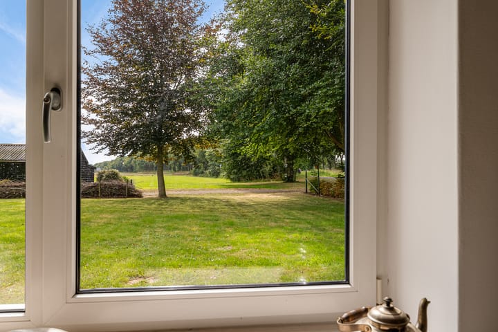 Foto 20 van Haantje 2