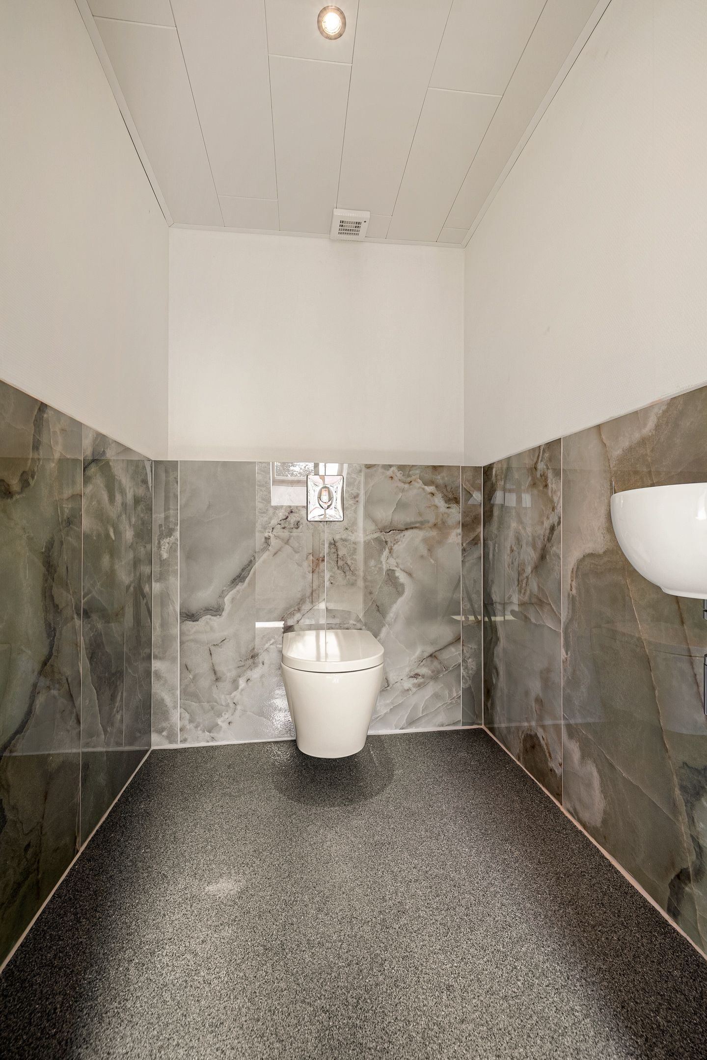 Foto 42 van Haantje 2