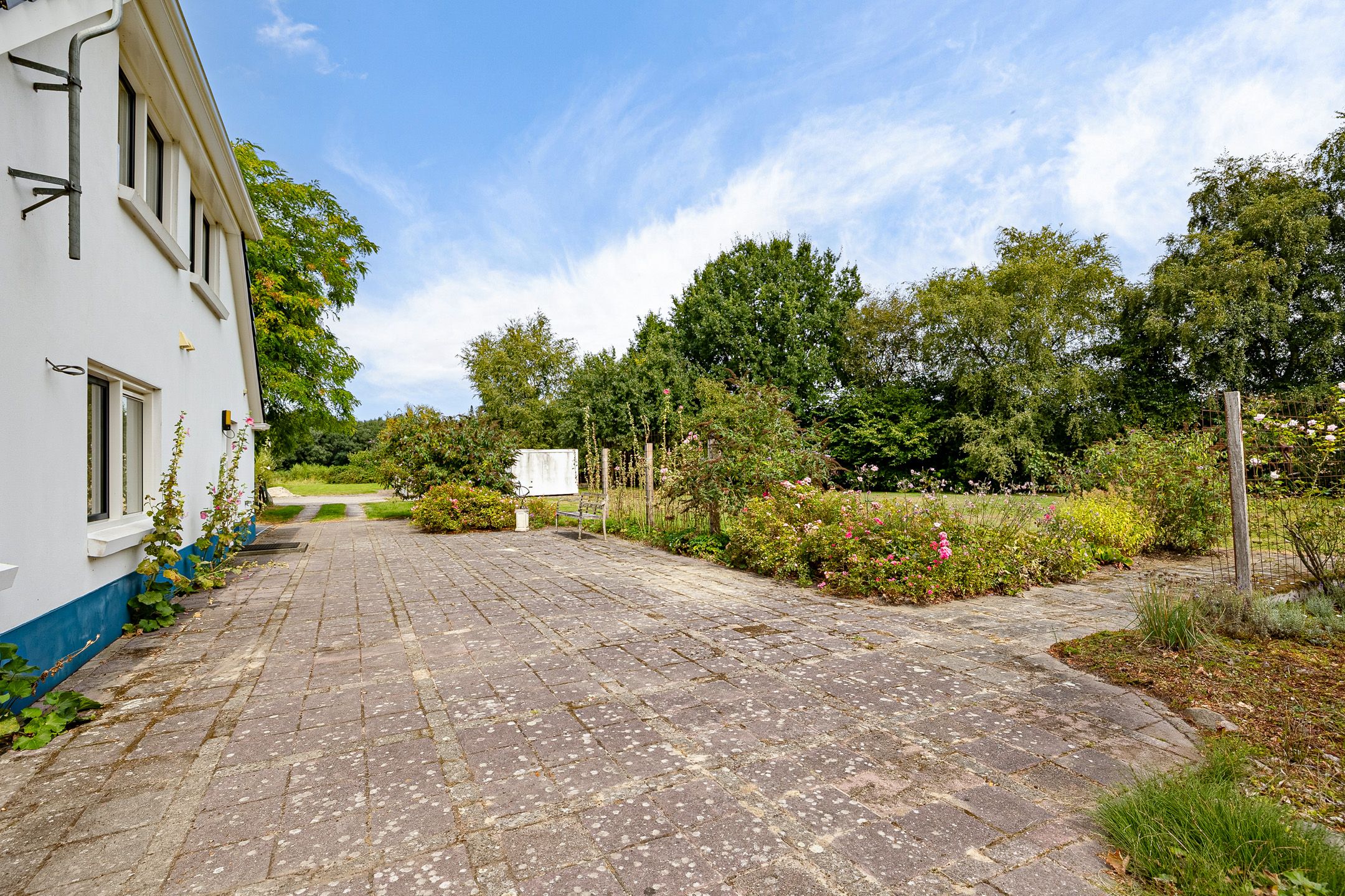 Foto 48 van Haantje 2