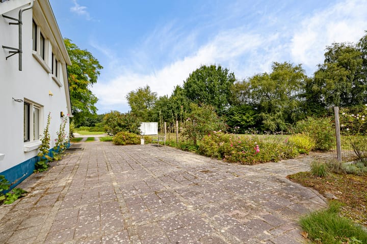 Foto 48 van Haantje 2