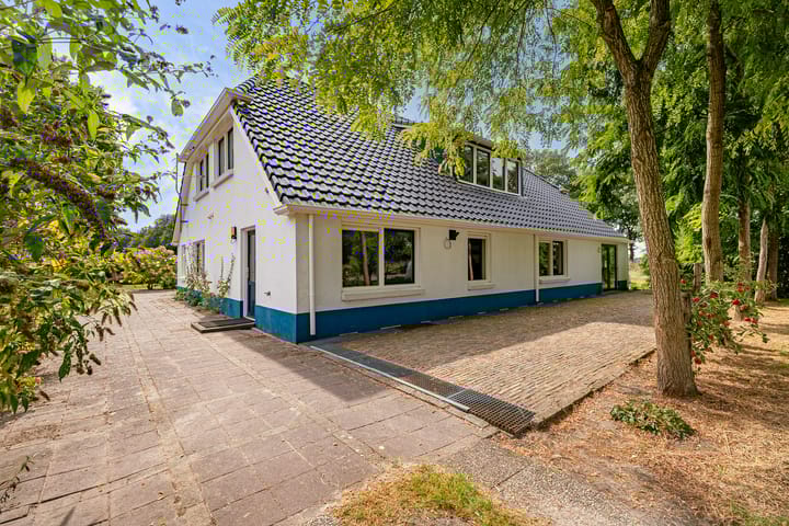 Foto 49 van Haantje 2