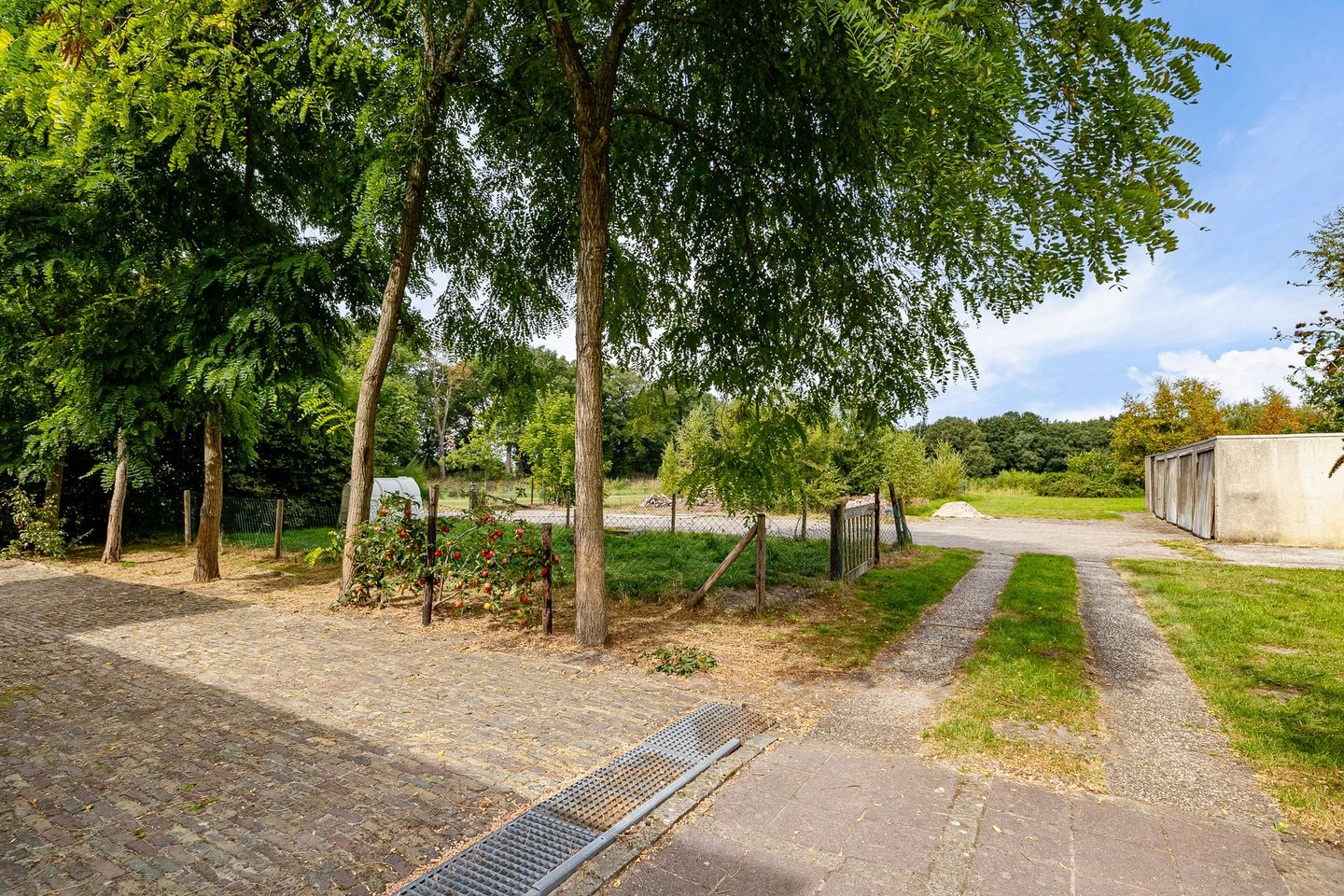 Foto 50 van Haantje 2