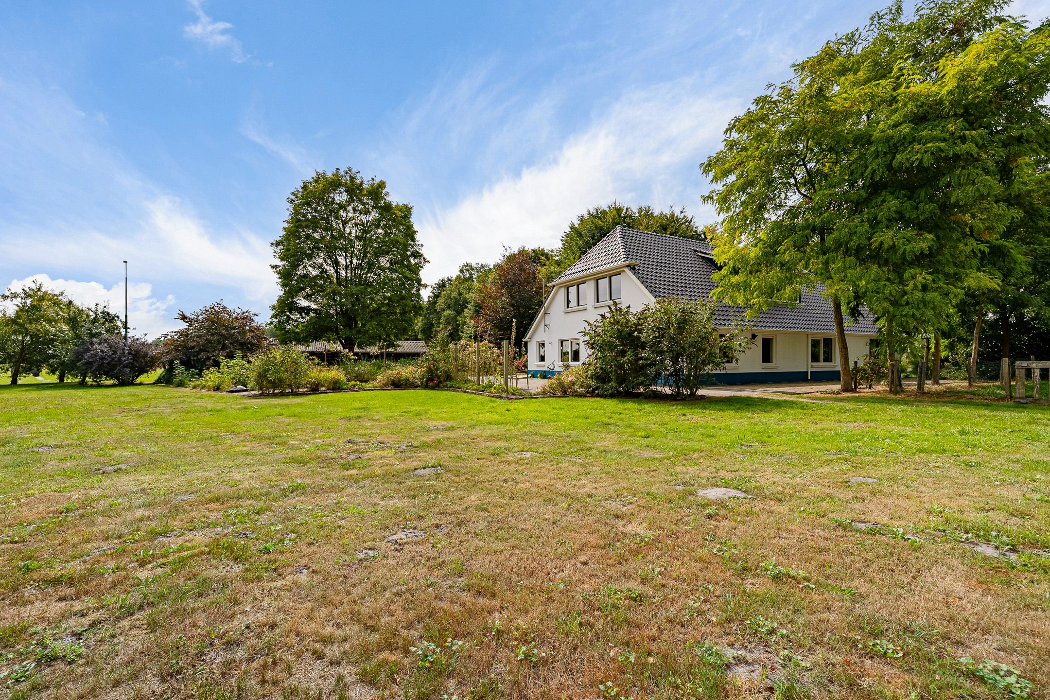 Foto 51 van Haantje 2