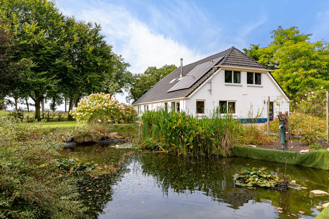 Foto 52 van Haantje 2