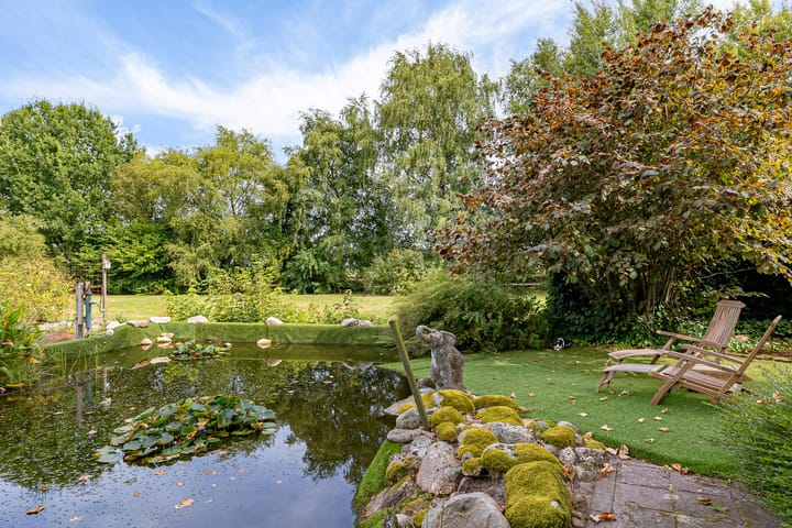 Foto 53 van Haantje 2