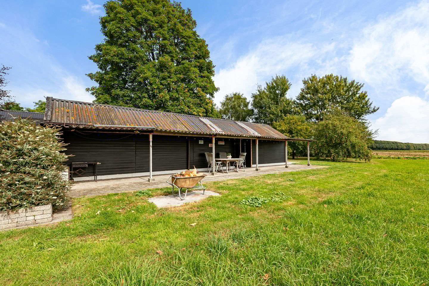 Foto 59 van Haantje 2