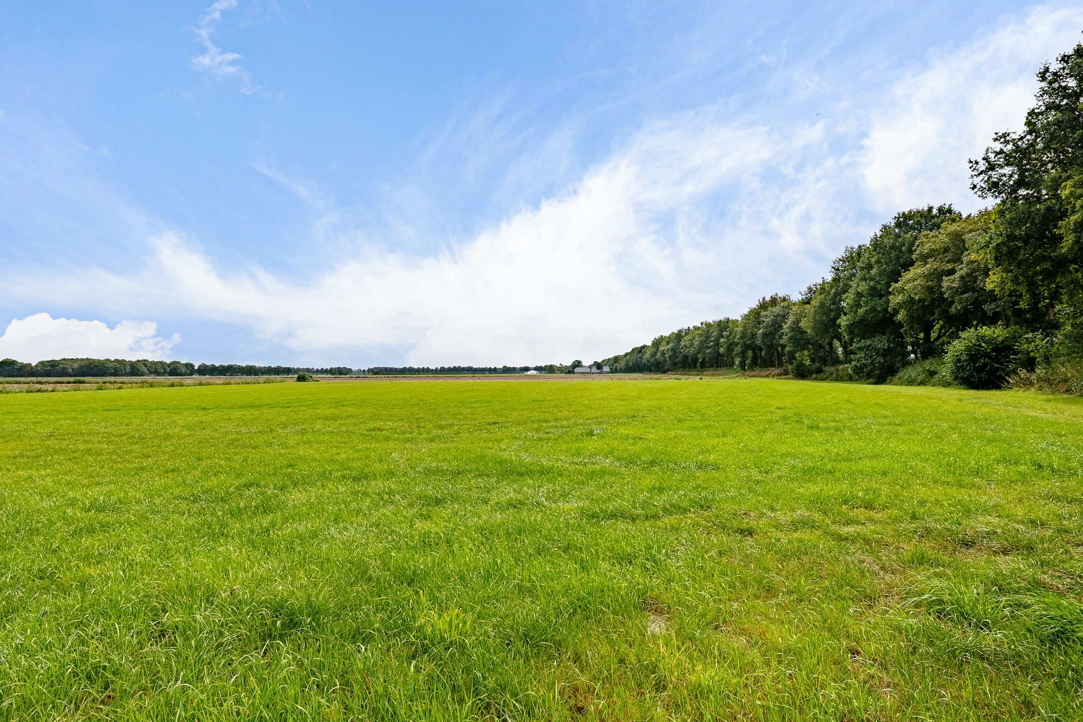 Foto 60 van Haantje 2