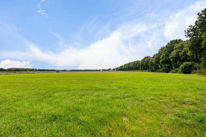 Foto 60 van Haantje 2