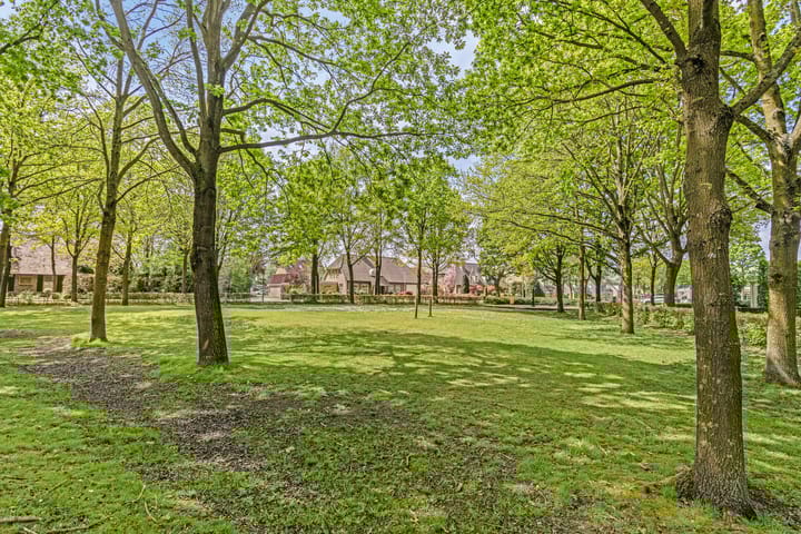 Foto 42 van Elandlaan 19