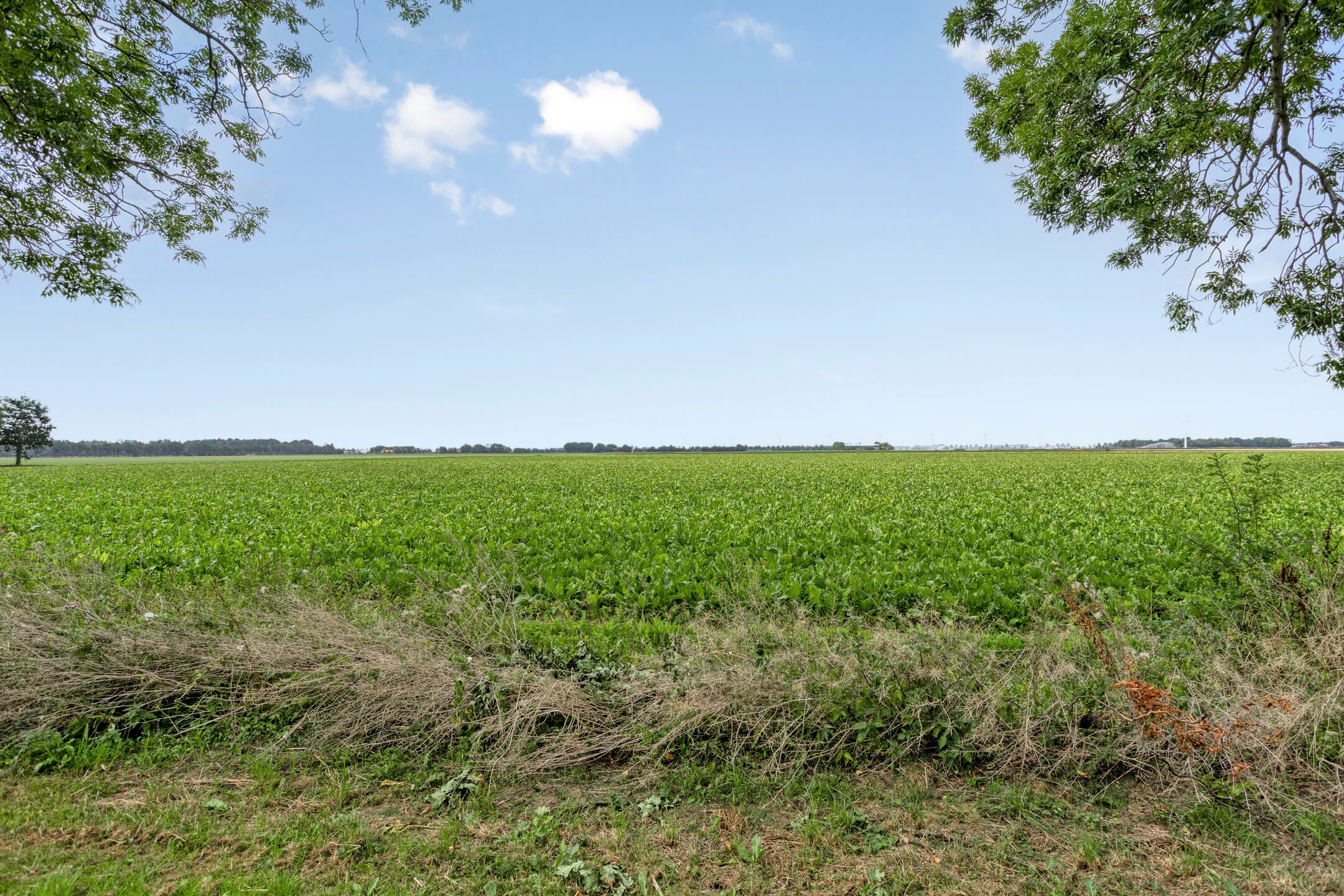 Photo 54 of Johannes Postweg 15-B