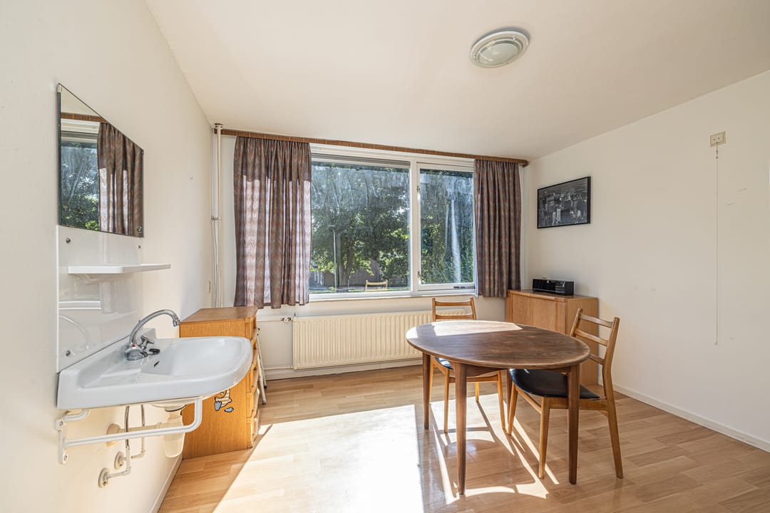 Foto 22 van Prinses Margrietplantsoen 1