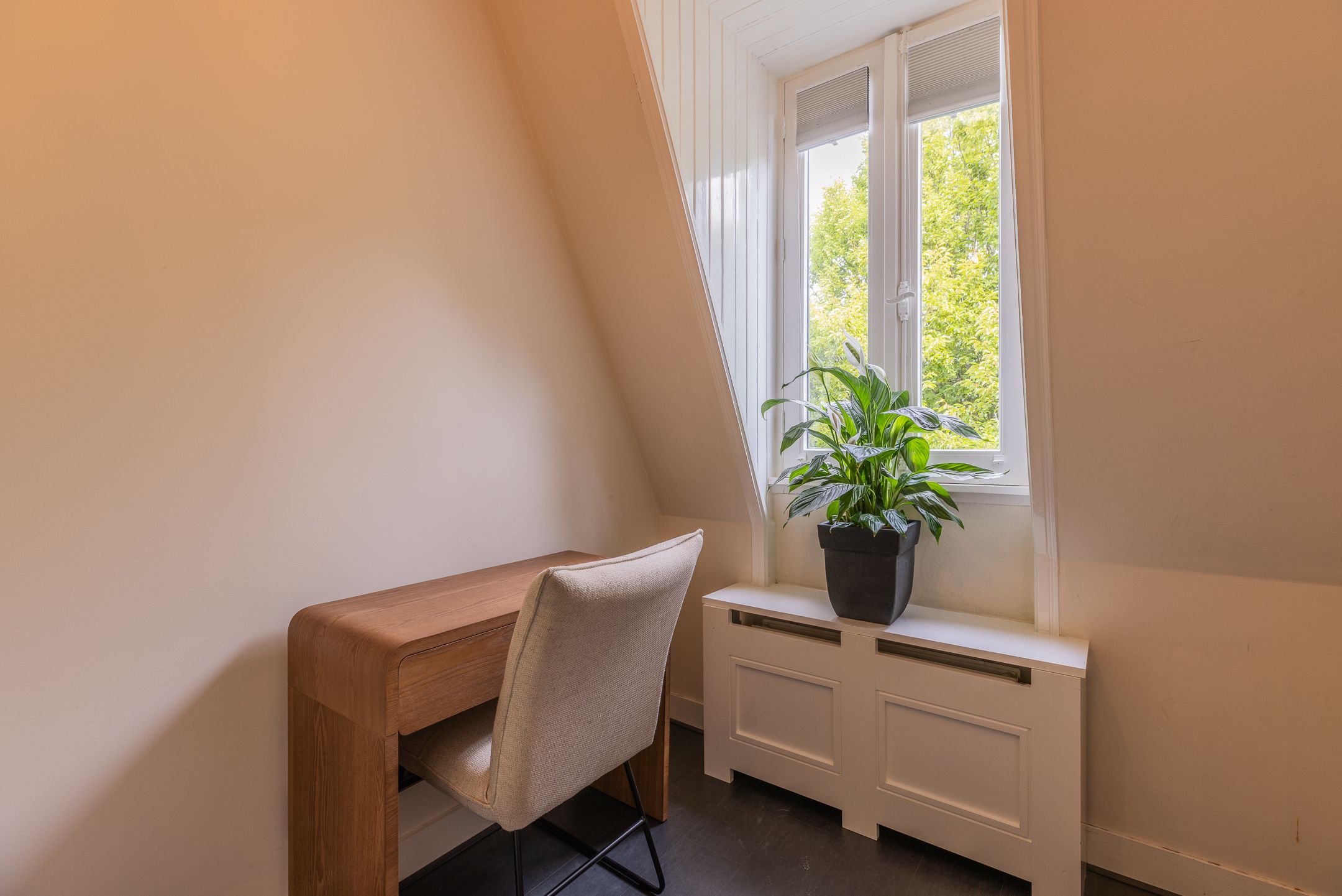 Foto 30 van Van Lawick van Pabststraat 141