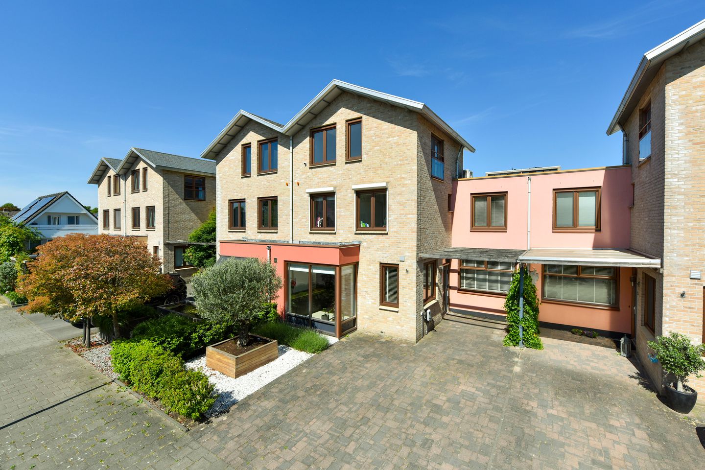 Foto 1 van Fluitekruid 30