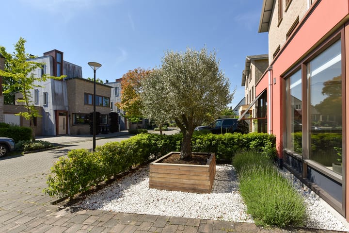 Foto 4 van Fluitekruid 30