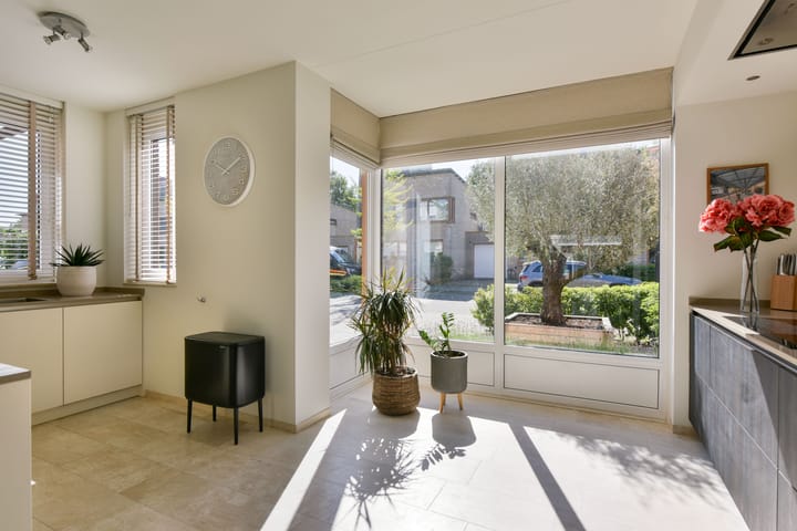 Foto 14 van Fluitekruid 30