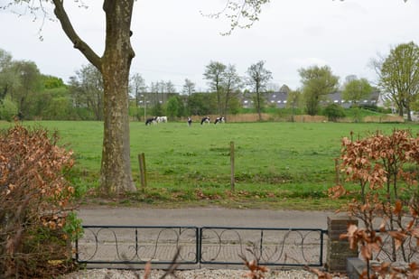 Paulinelaan 7 secondary image