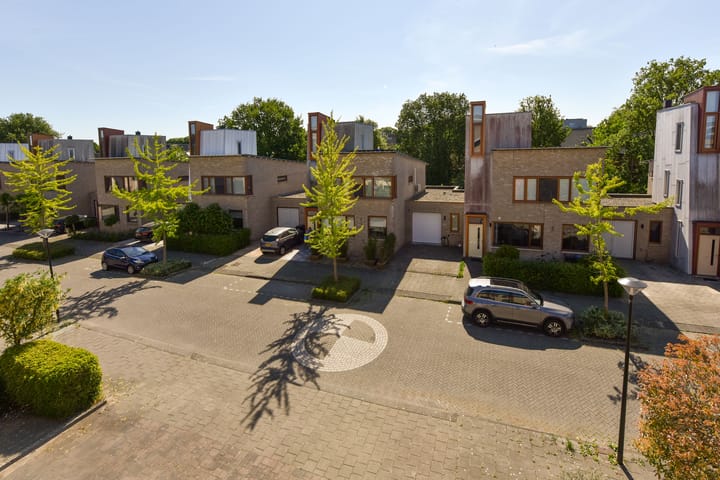 Foto 43 van Fluitekruid 30